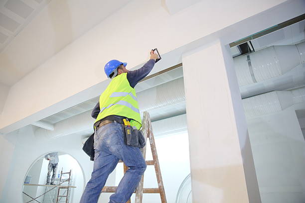 Trusted Grabill, IN Mold Removal Experts